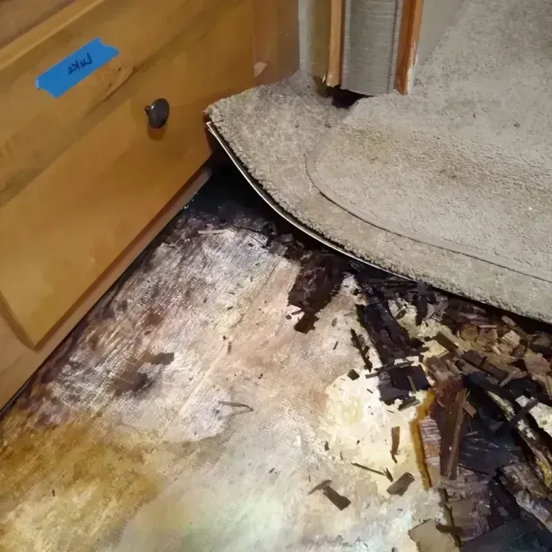 Best Wood Floor Water Damage Service in Warrensburg, MO